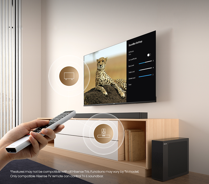 ONE REMOTE, DOUBLE ENJOYMENT