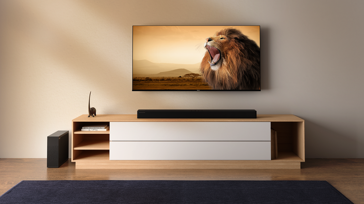 HS2100 Soundbar