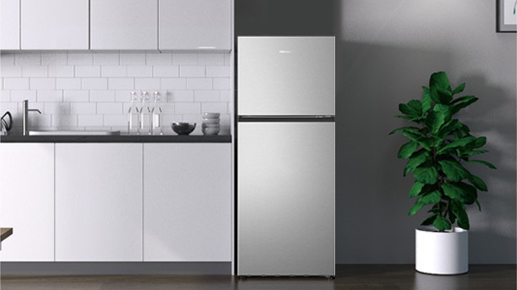 545L Top Mount Refrigerator RT545N4ASU1