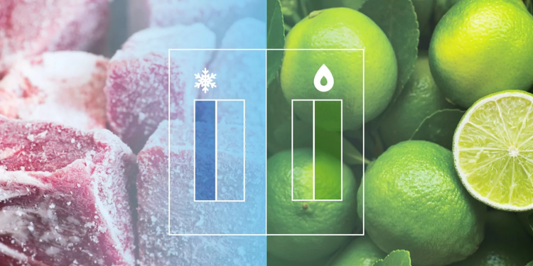 INDEPENDENT FRIDGE AND FREEZER ZONE