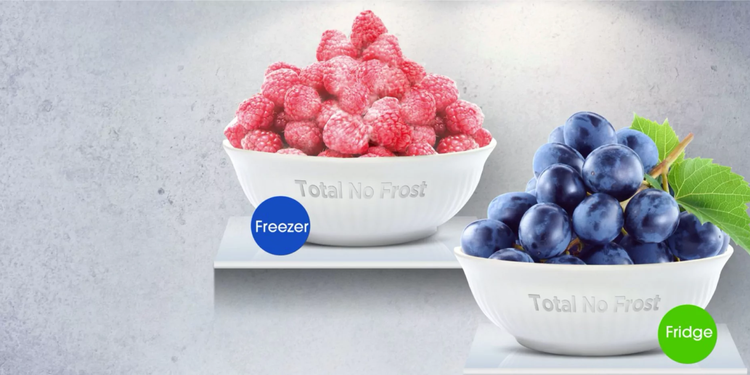 TOTAL NO FROST
