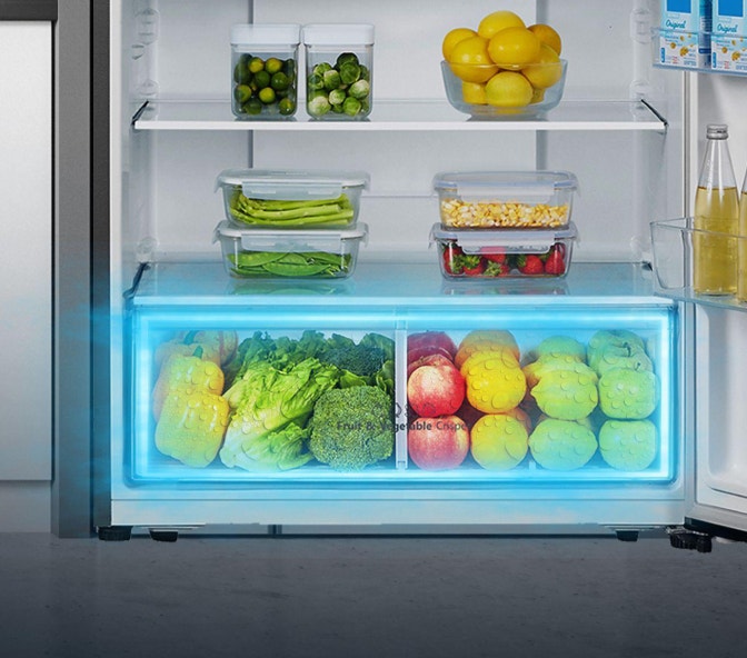 LARGE FRUIT & VEGETABLE CRISPER