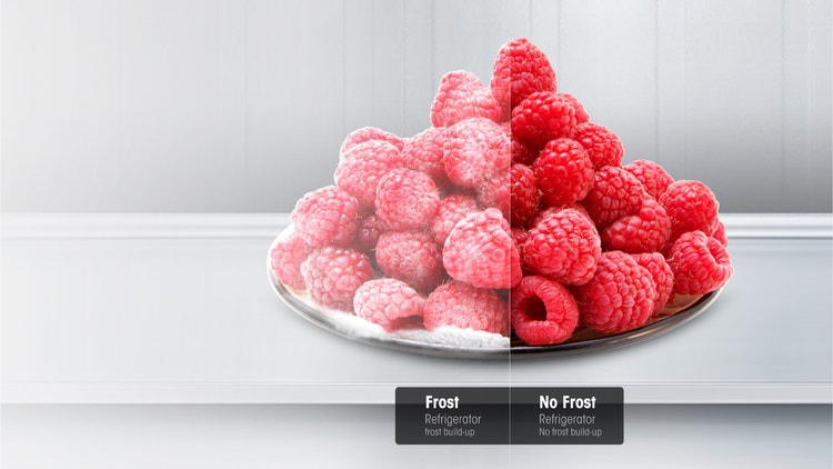 TOTAL NO FROST