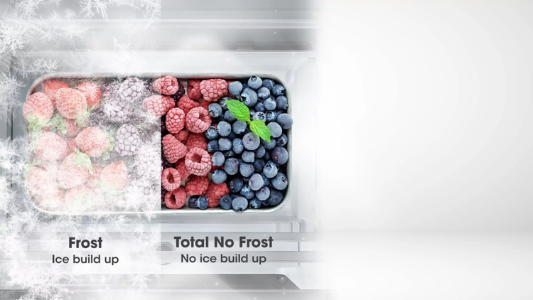 TOTAL NO FROST