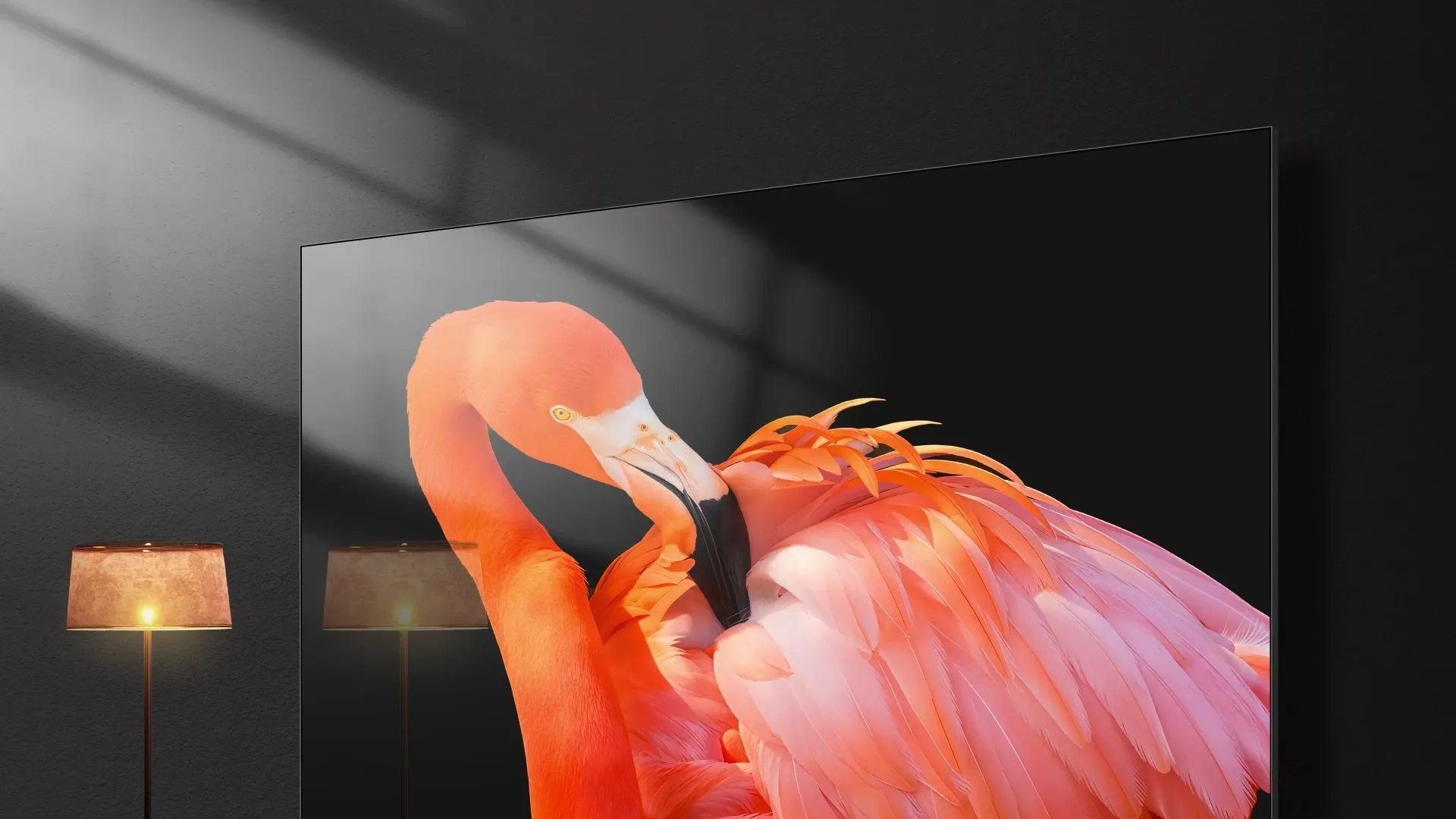 Anti-Reflection & Glare-Free