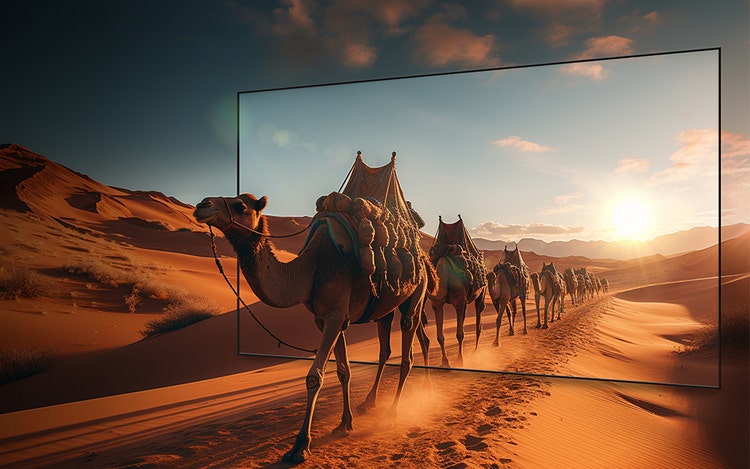 Total HDR Solution Up to 1500nits Peak Brightness