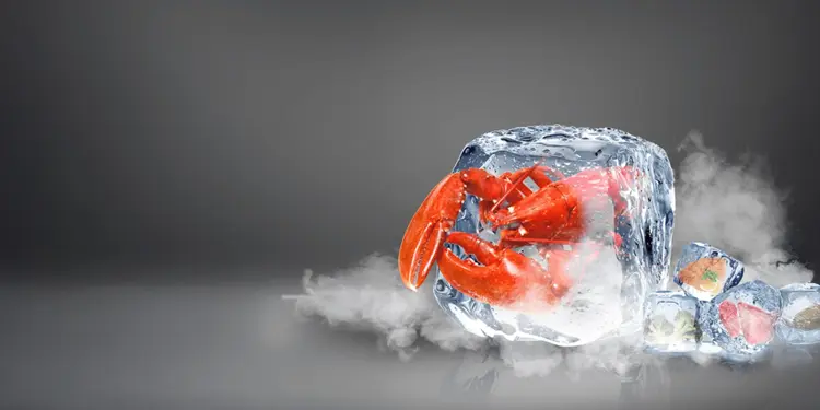 Super Freeze