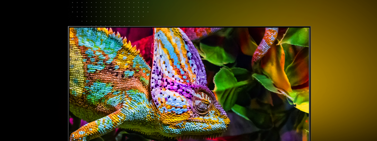 More than a billion shades of vibrant colour