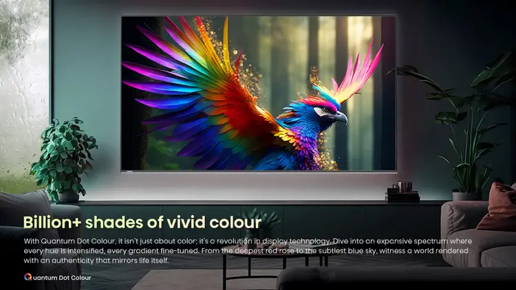 Hisense 164 cm (65 Inch) 4K Ultra HD Mini LED 65U6N Pro