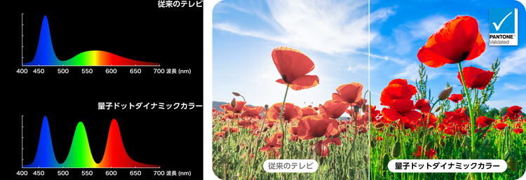 リアルで鮮烈な色彩表現を