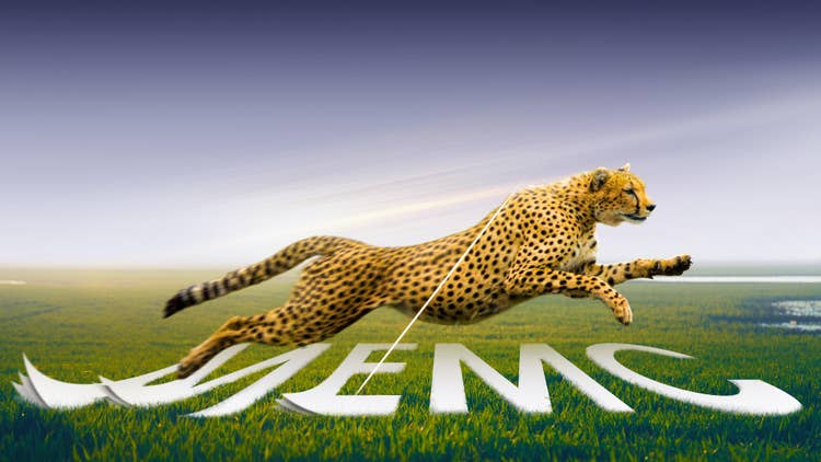 FAST MOVING, FASTER ACTION