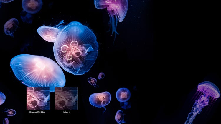 Watch everything you love in stunning detail