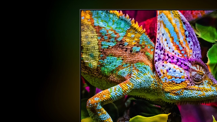 Billion+ shades of vivid colour