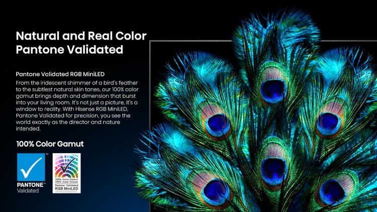 Hisense RGB MiniLED 65UR8S 65″ 180Hz 330HSR TV